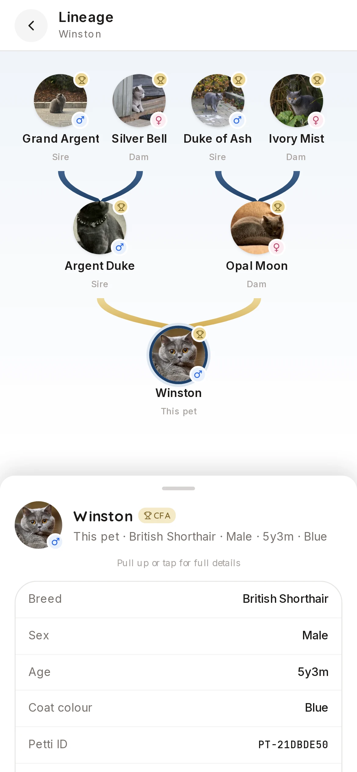 Certified three-generation pedigree